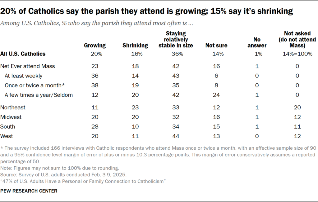 20% of Catholics say the parish they attend is growing; 15% say it’s shrinking