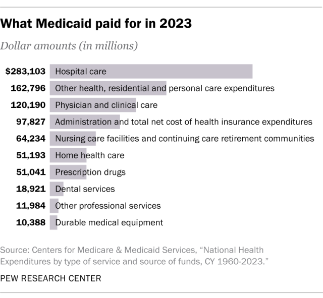 A bar chart showing what Medicaid paid for in 2023.