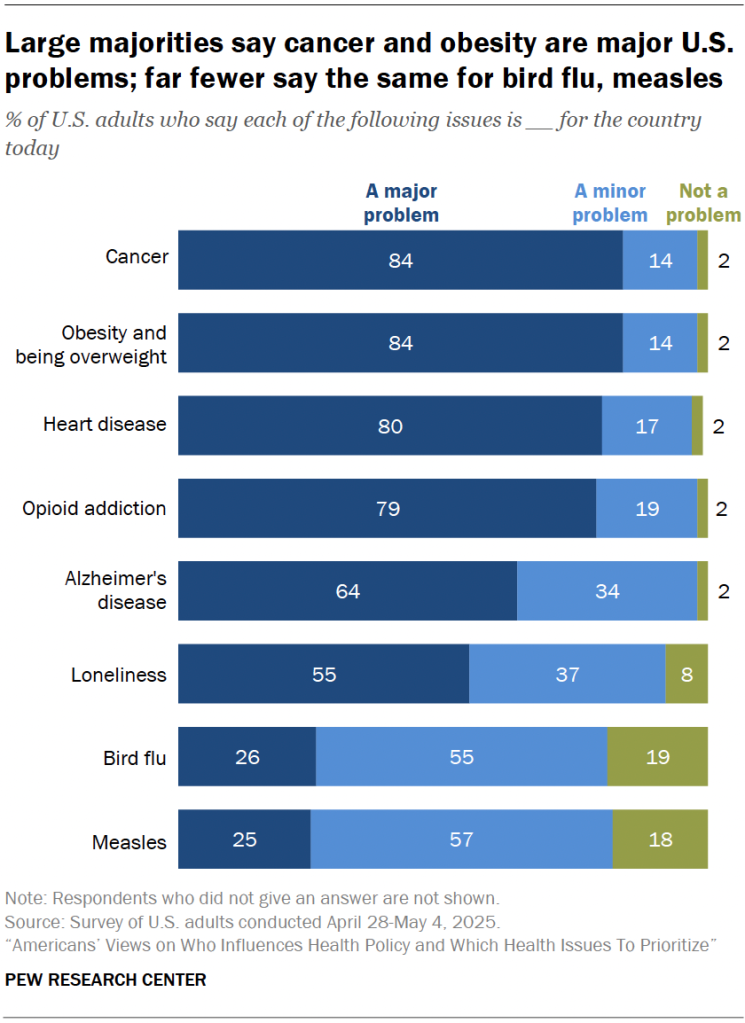 Large majorities say cancer and obesity are major U.S. problems; far fewer say the same for bird flu, measles