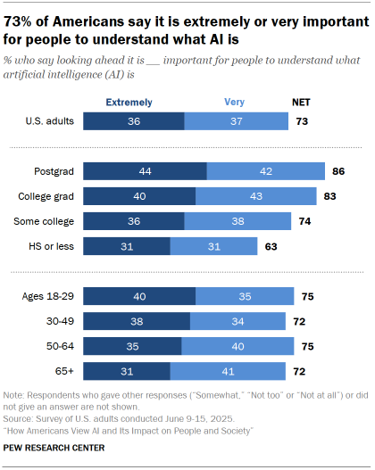 Chart shows 73% of Americans say it is extremely or very important for people to understand what AI is
