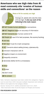 Chart shows Americans who see high risks from AI most commonly cite ‘erosion of human skills and connections’ as the reason
