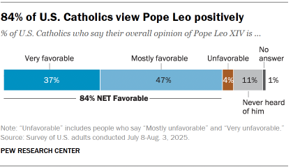 Bar chart showing that 84% of U.S. Catholics view Pope Leo positively