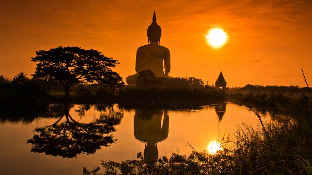 (pigphoto via Getty Images)