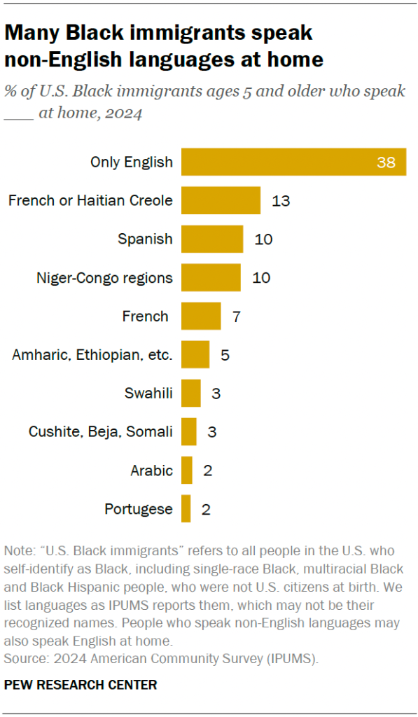 Many Black immigrants speak  non-English languages at home