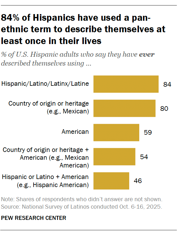 84% of Hispanics have used a pan-ethnic term to describe themselves at least once in their lives