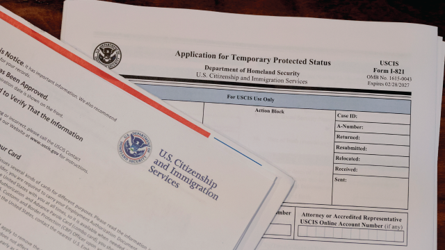 A Temporary Protected Status application form and approval notification. (Pat Greenhouse/The Boston Globe via Getty Images)