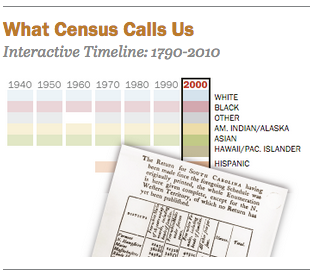 Measuring Racial and Ethnic Diversity for the 2020 Census