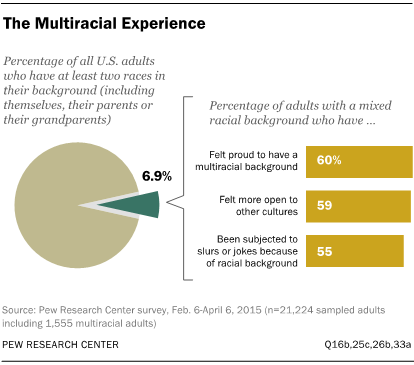 The Multiracial Experience