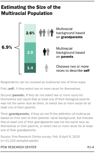 Estimating the Size of the Multiracial Population
