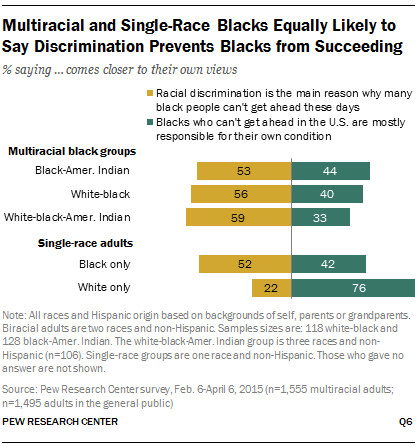 Multiracial and Single-Race Blacks Equally Likely to Say Discrimination Prevents Blacks from Succeeding