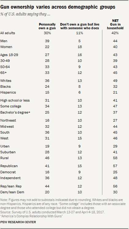 essay on guns in america