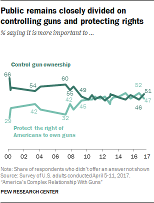 essay about gun control in america