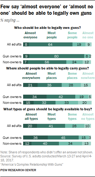 essay about gun control in america