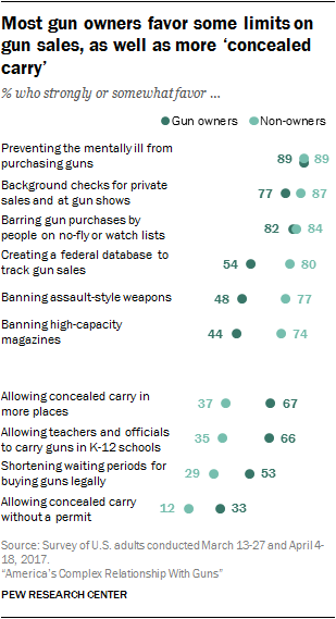 essay about gun control in america