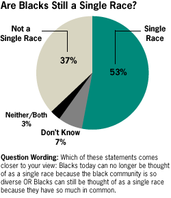 Blacks See Growing Values Gap Between Poor and Middle Class | Pew ...