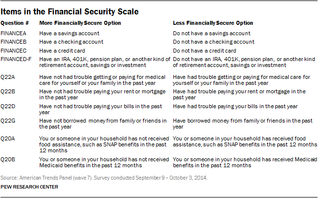 Items in the Financial Security Scale