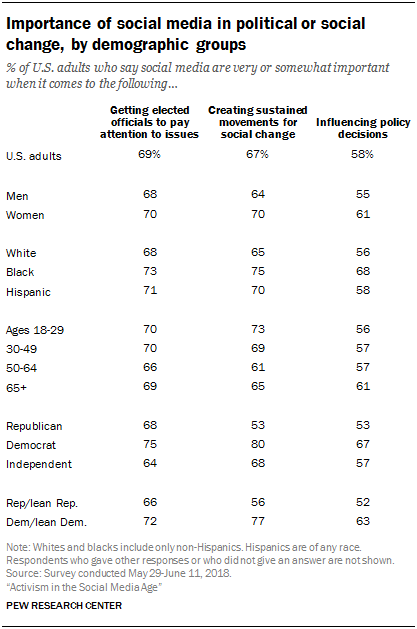 Importance of social media in political or social change, by demographic groups