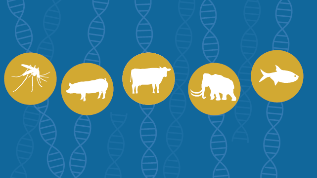 genetic engineering research topics